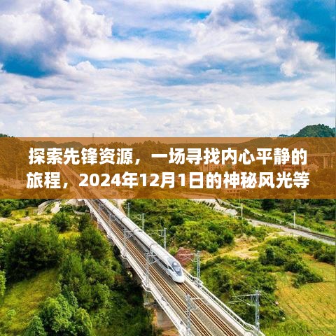 探索先锋资源之旅，寻找内心平静的神秘风光（2024年12月1日揭晓）