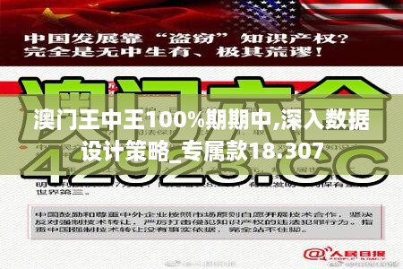 澳门王中王100%期期中,深入数据设计策略_专属款18.307