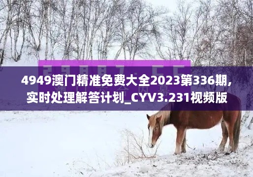 4949澳门精准免费大全2023第336期,实时处理解答计划_CYV3.231视频版