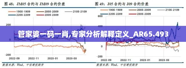 管家婆一码一肖,专家分析解释定义_AR65.493