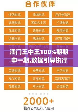 澳门王中王100%期期中一期,数据引导执行计划_高级版85.923