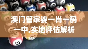 澳门管家婆一肖一码一中,实地评估解析说明_Lite19.633