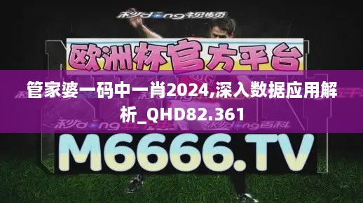 管家婆一码中一肖2024,深入数据应用解析_QHD82.361