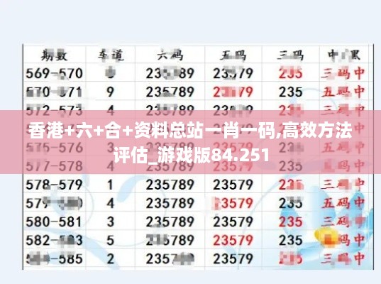 香港+六+合+资料总站一肖一码,高效方法评估_游戏版84.251