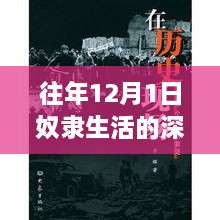 深度解读历史上的奴隶生活，历史视角的洞察与反思