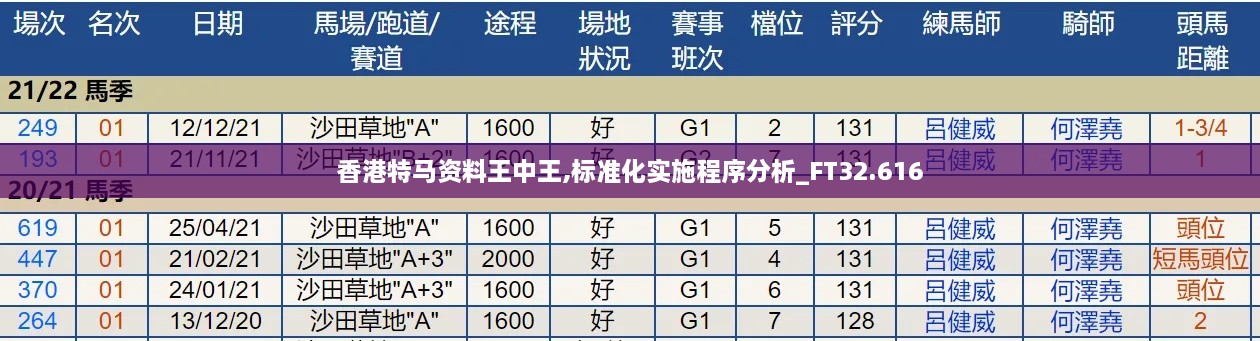 香港特马资料王中王,标准化实施程序分析_FT32.616