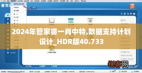 2024年管家婆一肖中特,数据支持计划设计_HDR版40.733