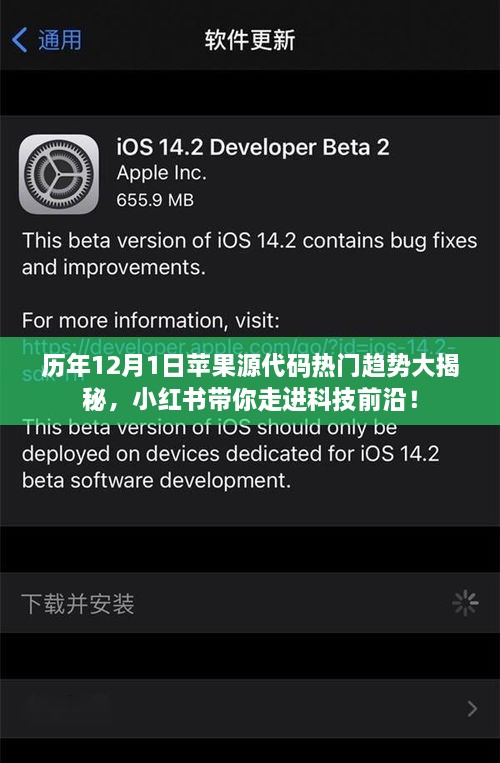历年12月1日苹果源代码趋势深度解析，科技前沿探秘，小红书引领风潮