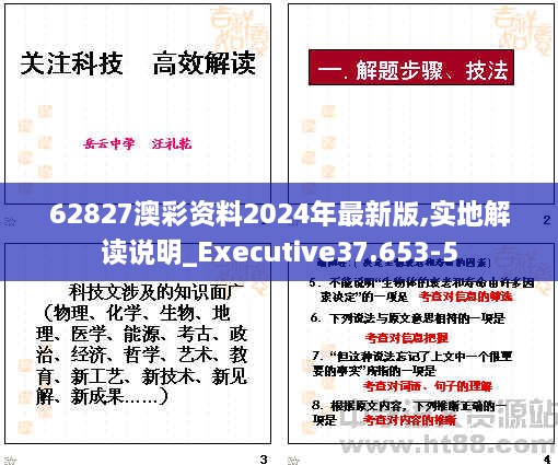 62827澳彩资料2024年最新版,实地解读说明_Executive37.653-5