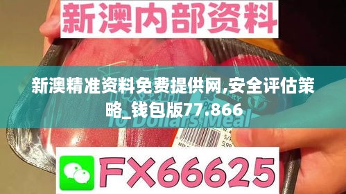 新澳精准资料免费提供网,安全评估策略_钱包版77.866