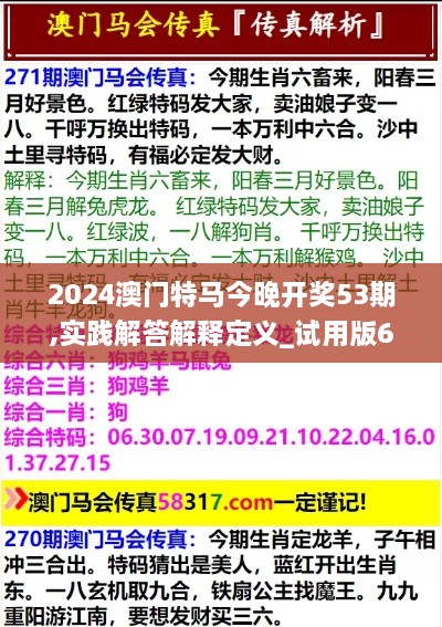 2024澳门特马今晚开奖53期,实践解答解释定义_试用版69.162-7