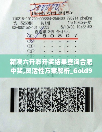 新澳六开彩开奖结果查询合肥中奖,灵活性方案解析_Gold95.70