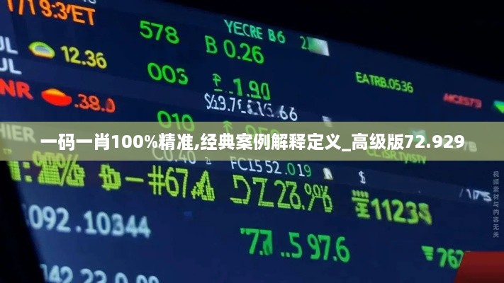 一码一肖100%精准,经典案例解释定义_高级版72.929