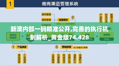 新澳内部一码精准公开,完善的执行机制解析_黄金版74.428