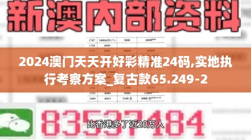 2024澳门天天开好彩精准24码,实地执行考察方案_复古款65.249-2