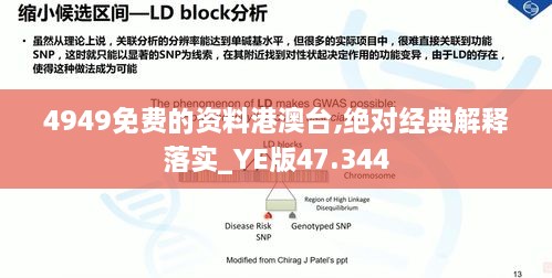 4949免费的资料港澳台,绝对经典解释落实_YE版47.344