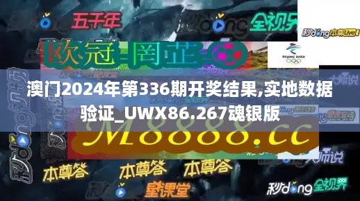 澳门2024年第336期开奖结果,实地数据验证_UWX86.267魂银版