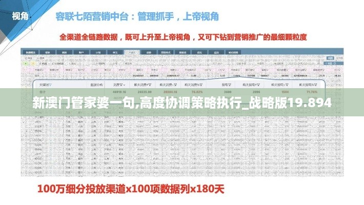 新澳门管家婆一句,高度协调策略执行_战略版19.894