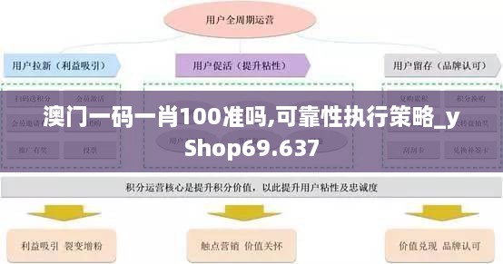 澳门一码一肖100准吗,可靠性执行策略_yShop69.637