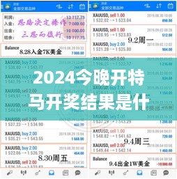 2024今晚开特马开奖结果是什么呢,深入挖掘解释说明_UJQ96.878外观版