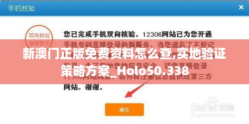 新澳门正版免费资料怎么查,实地验证策略方案_Holo50.338