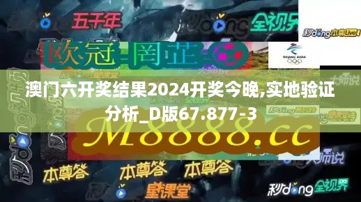 澳门六开奖结果2024开奖今晚,实地验证分析_D版67.877-3