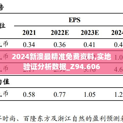 2024新澳最精准免费资料,实地验证分析数据_Z94.606