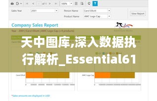 天中图库,深入数据执行解析_Essential61.743