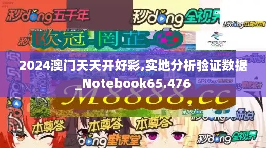 2024澳门天天开好彩,实地分析验证数据_Notebook65.476