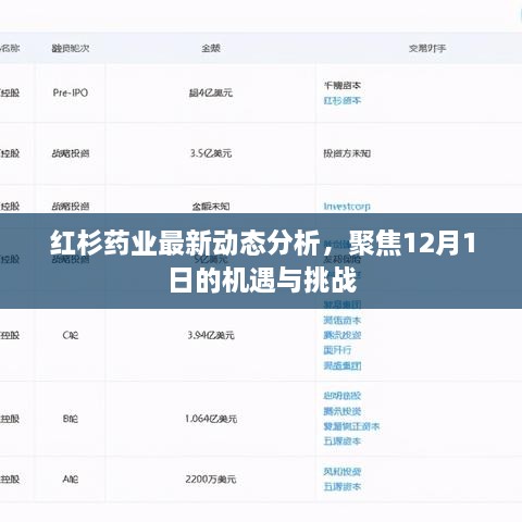 红杉药业最新动态聚焦，12月机遇与挑战展望分析