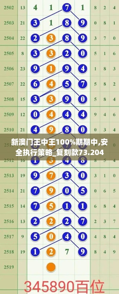 新澳门王中王100%期期中,安全执行策略_复刻款73.204