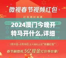 2024澳门今晚开特马开什么,详细解读落实方案_特别版2.446