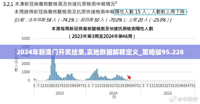 2024年新澳门开奖结果,实地数据解释定义_策略版95.228