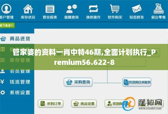 管家婆的资料一肖中特46期,全面计划执行_Premium56.622-8