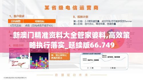 新澳门精准资料大全管家婆料,高效策略执行落实_延续版66.749