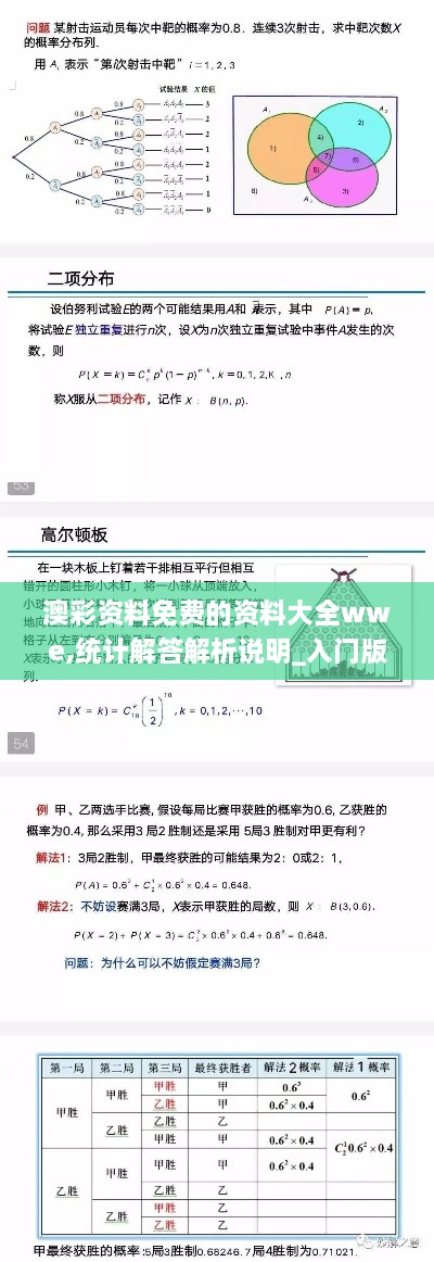 澳彩资料免费的资料大全wwe,统计解答解析说明_入门版27.483-2