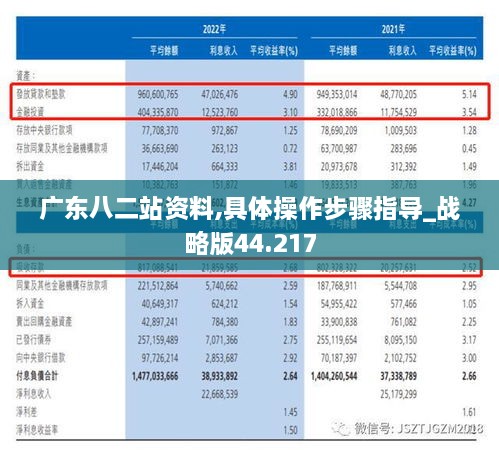 广东八二站资料,具体操作步骤指导_战略版44.217