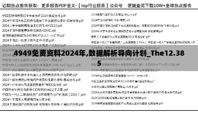 4949免费资料2024年,数据解析导向计划_The12.385