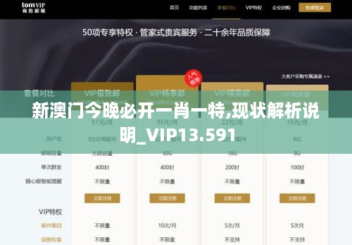 新澳门今晚必开一肖一特,现状解析说明_VIP13.591