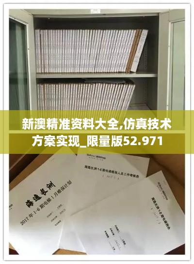 新澳精准资料大全,仿真技术方案实现_限量版52.971