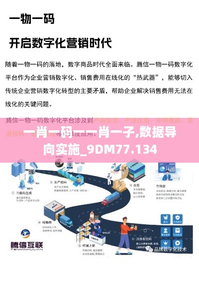 一肖一码一一肖一子,数据导向实施_9DM77.134