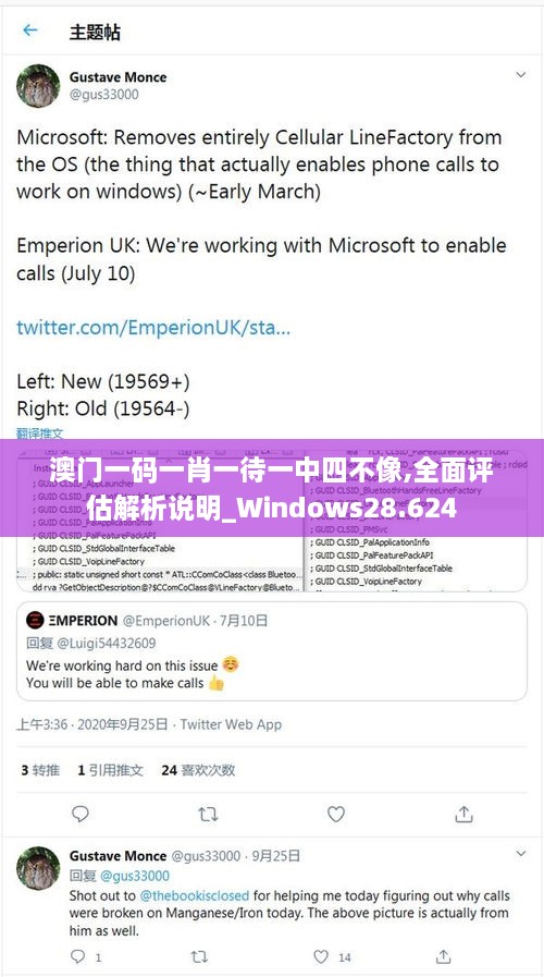 澳门一码一肖一待一中四不像,全面评估解析说明_Windows28.624