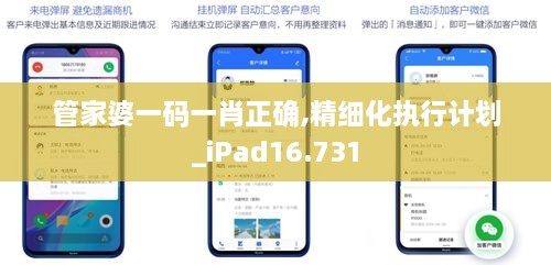 管家婆一码一肖正确,精细化执行计划_iPad16.731