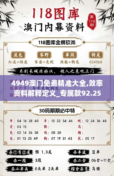 4949澳门免费精准大全,效率资料解释定义_专属款92.252