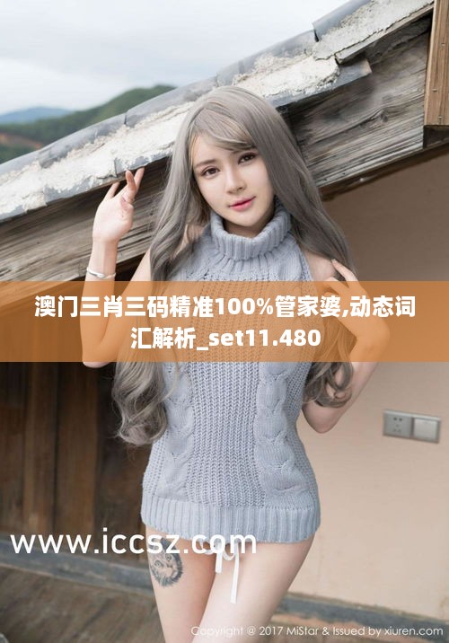 澳门三肖三码精准100%管家婆,动态词汇解析_set11.480