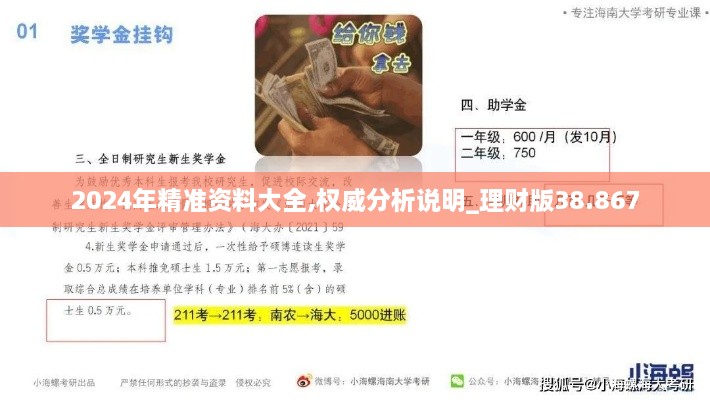 2024年精准资料大全,权威分析说明_理财版38.867