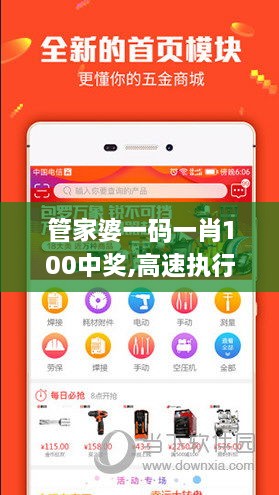 管家婆一码一肖100中奖,高速执行响应计划_Deluxe29.89