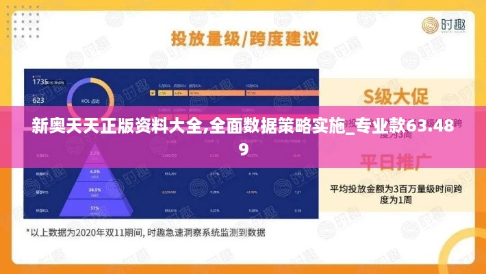 新奥天天正版资料大全,全面数据策略实施_专业款63.489