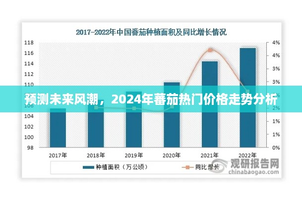 2024年蕃茄热门价格走势分析与未来风潮预测