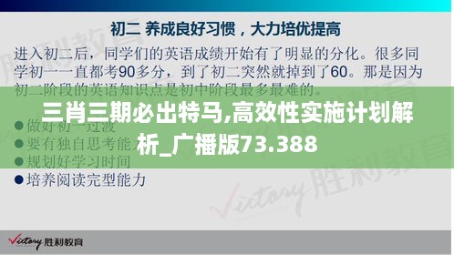 三肖三期必出特马,高效性实施计划解析_广播版73.388